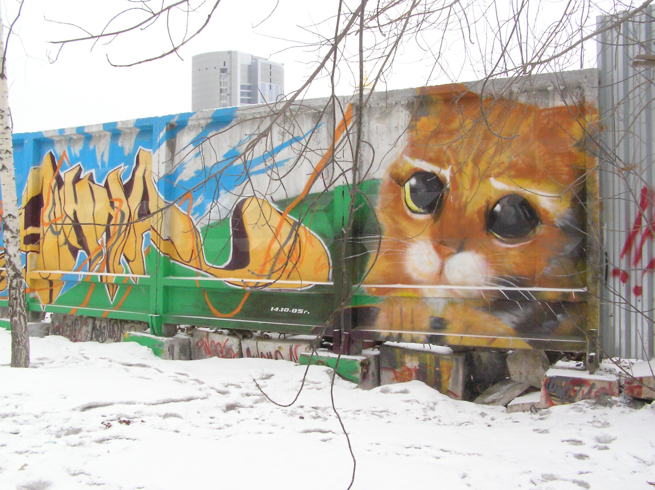 Граффити котиков в Питере