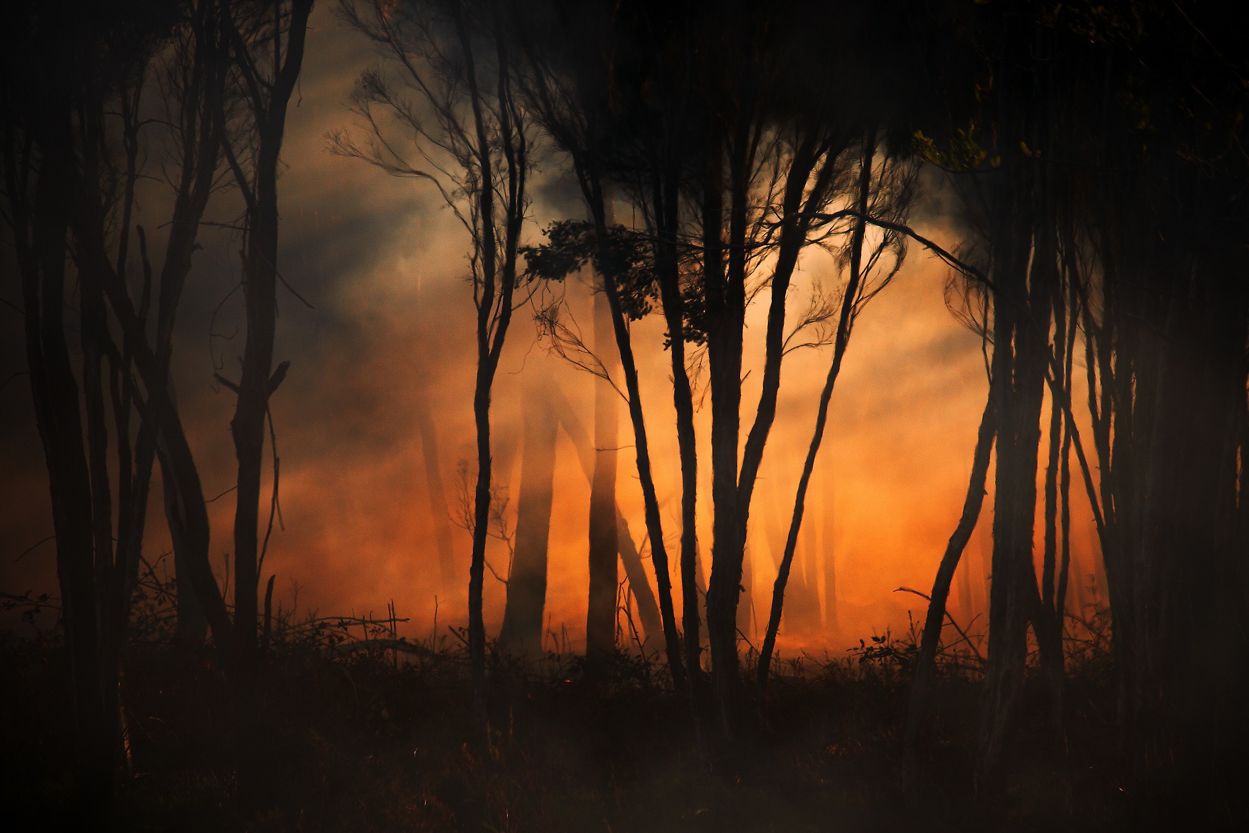 Ночной пожар в лесу