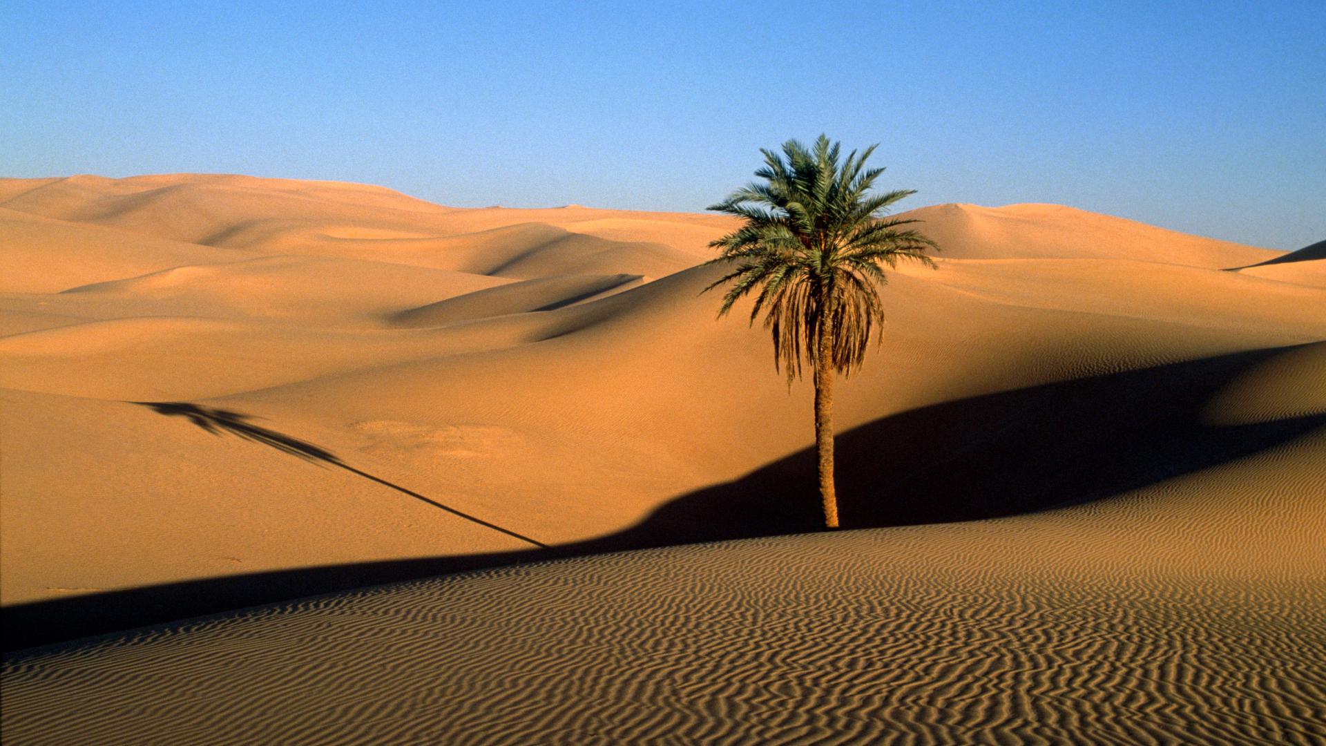 Климат тропических пустынь