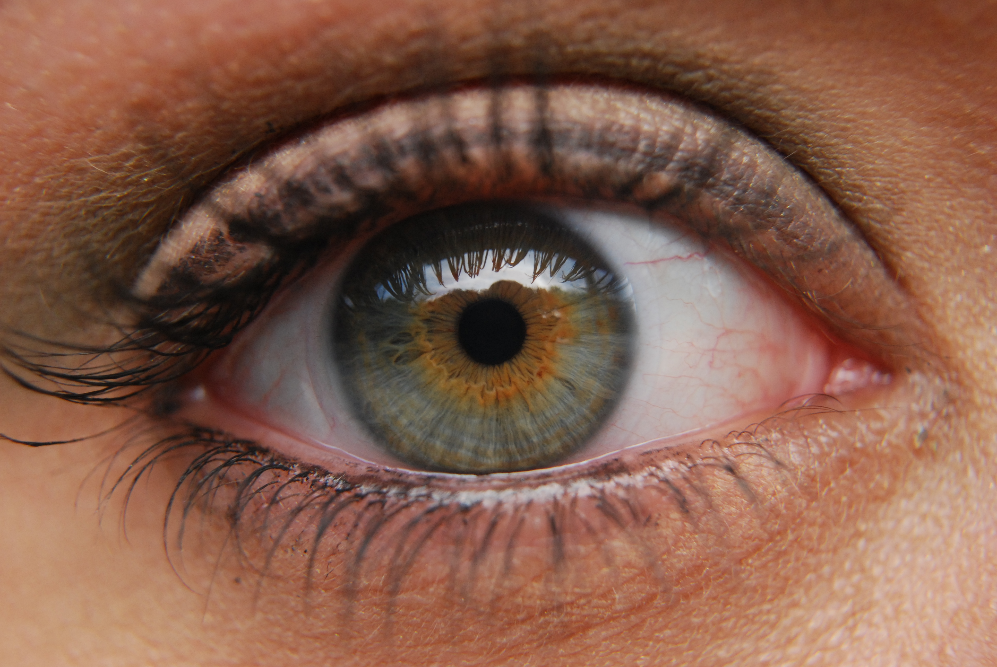Благородный глаз 3. Глаз человека. Глаз крупным планом. Здоровый глаз человека. Цвет глаз.