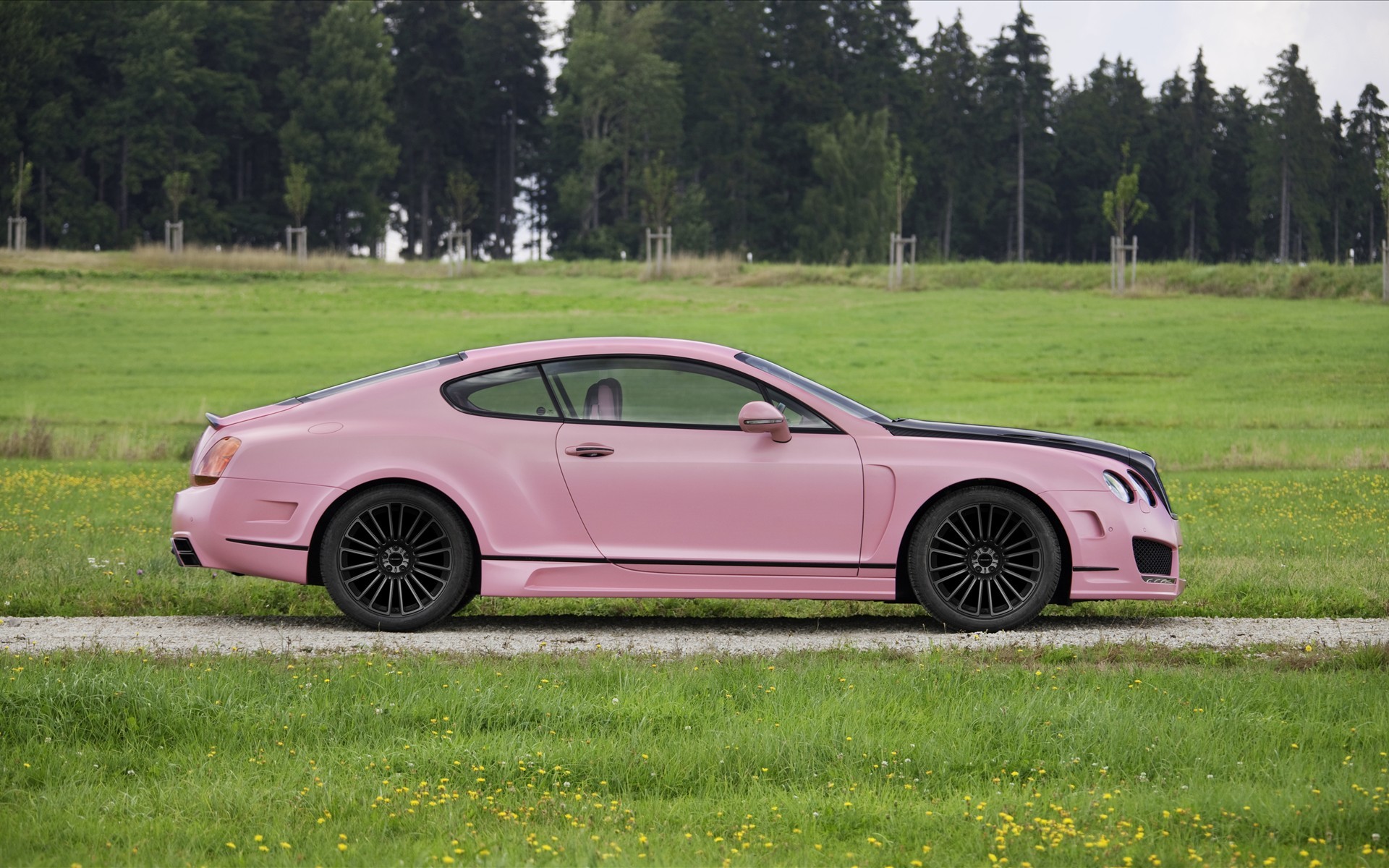 розовый цвет, автомобили, Bentley, транспортные средства - обои на рабочий стол