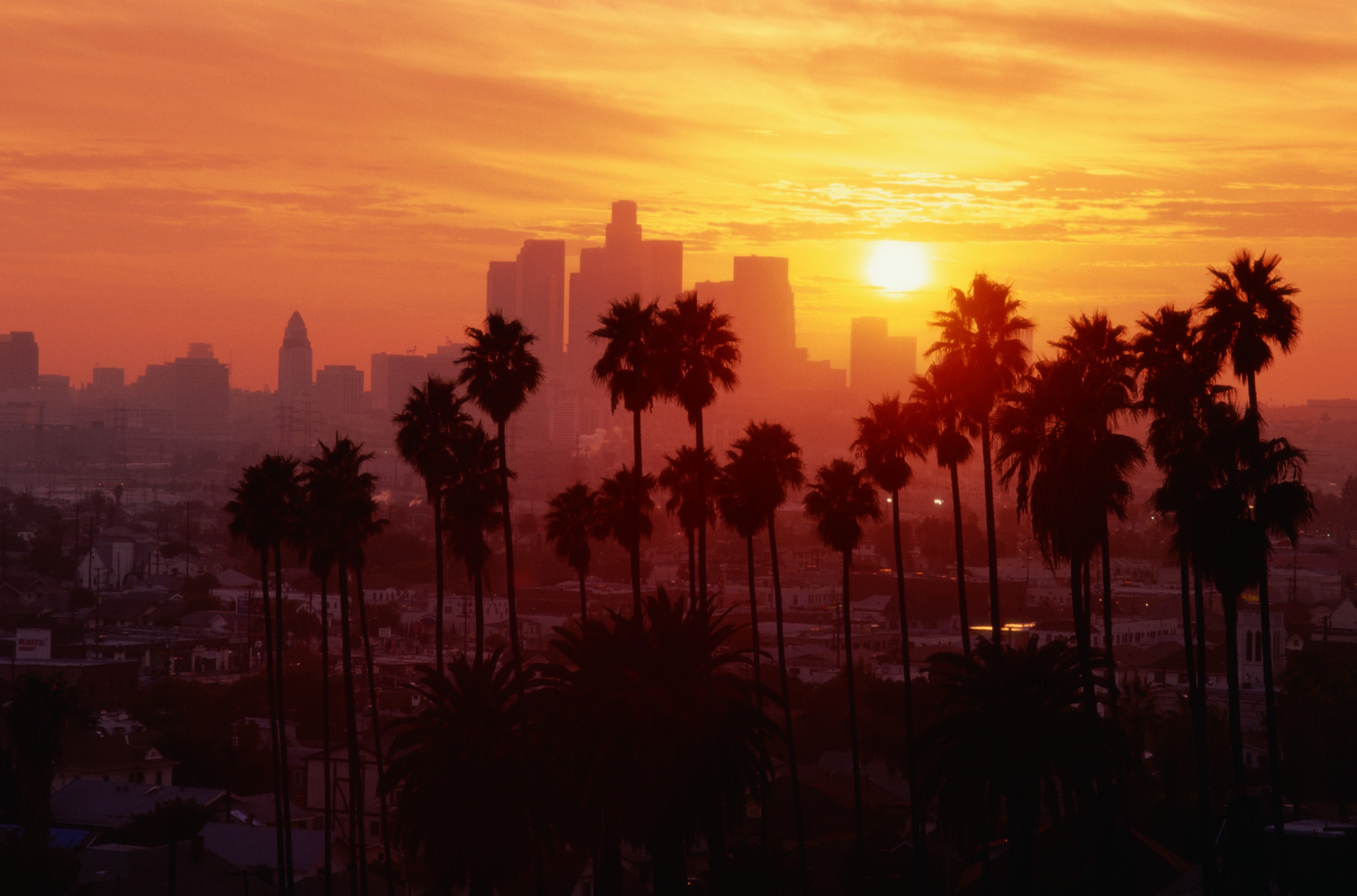 Сан анджелес. Лос-Анджелес, Калифорния. Лос Сантос пальмы. Америка Лос Анджелес Калифорния. Лос Анджелес Калифорния Сити.