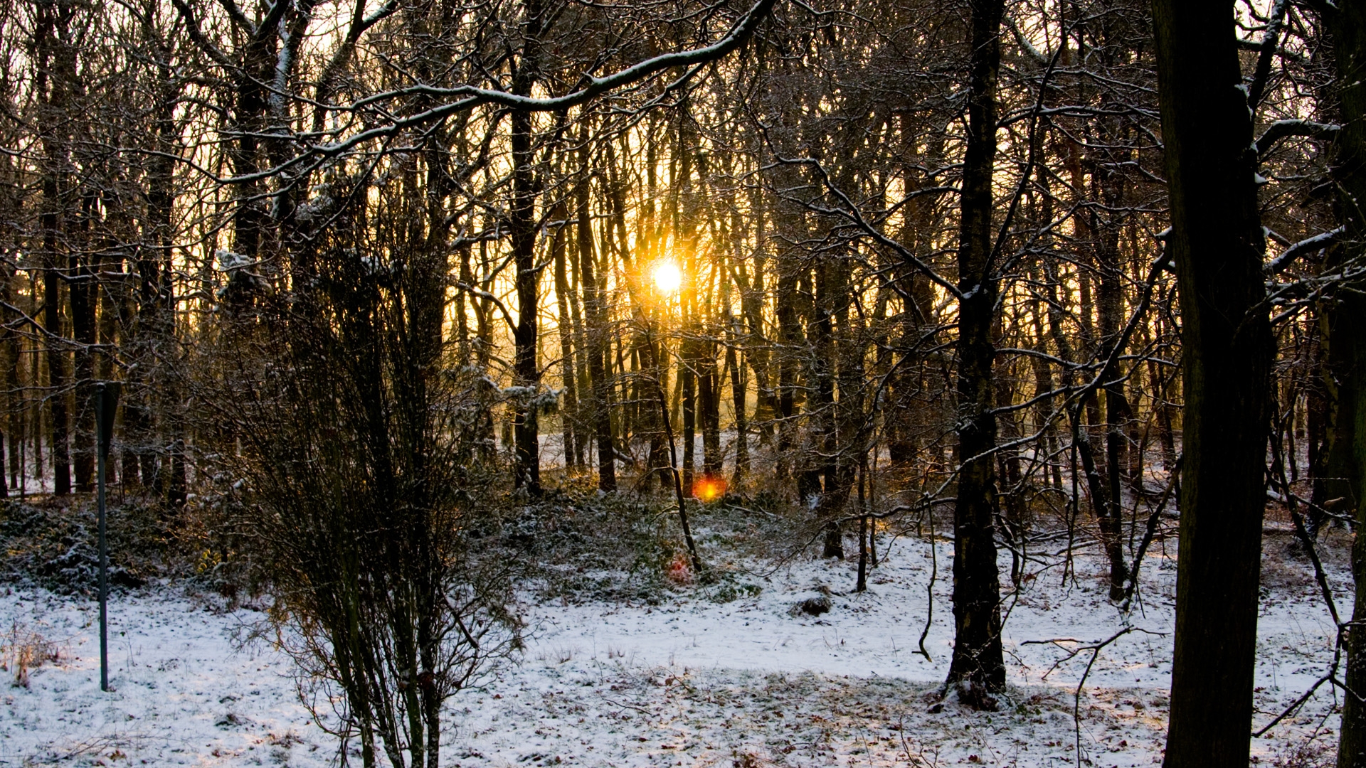 закат, пейзажи, зима, Солнце, леса - обои на рабочий стол