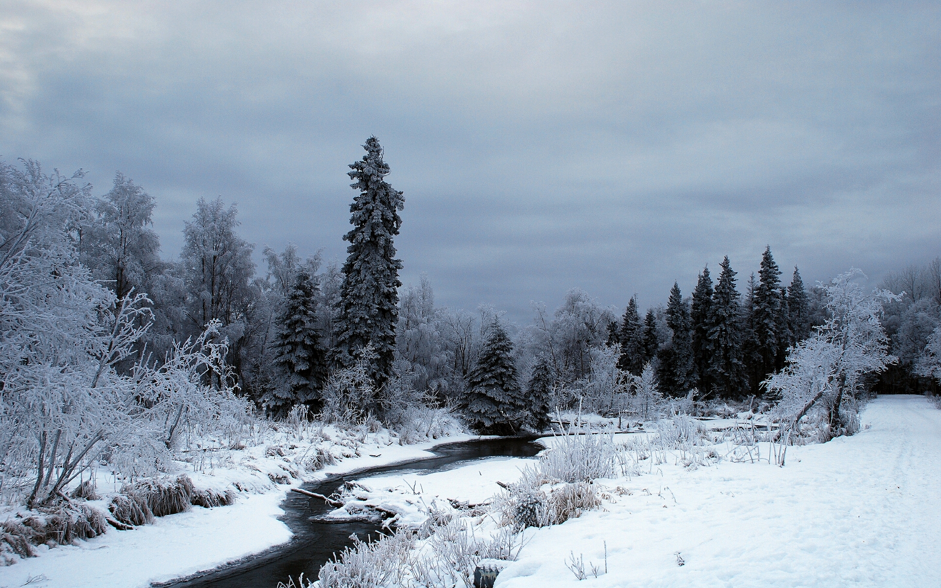 зима, снег, деревья, леса, мороз, реки, ручей - обои на рабочий стол