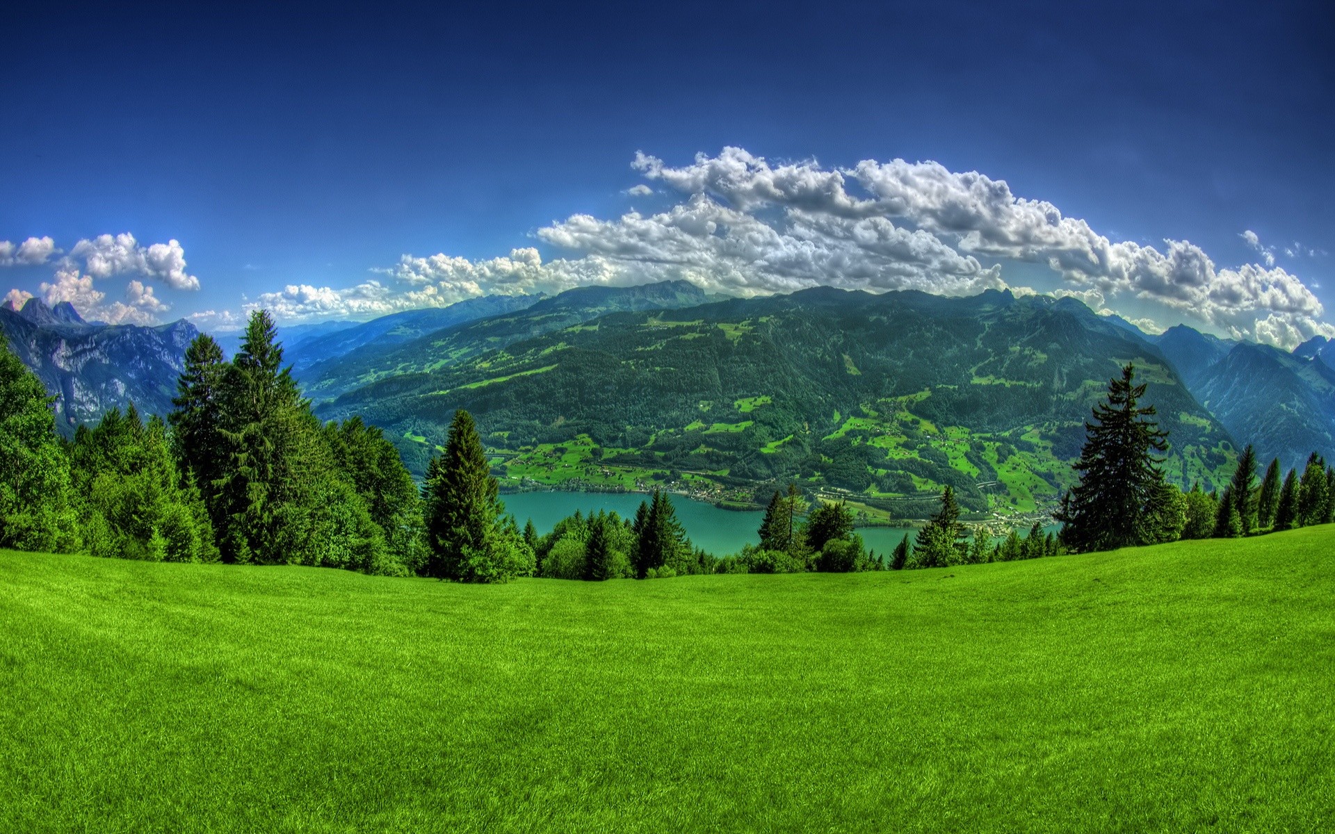 облака, пейзажи, деревья, трава - обои на рабочий стол