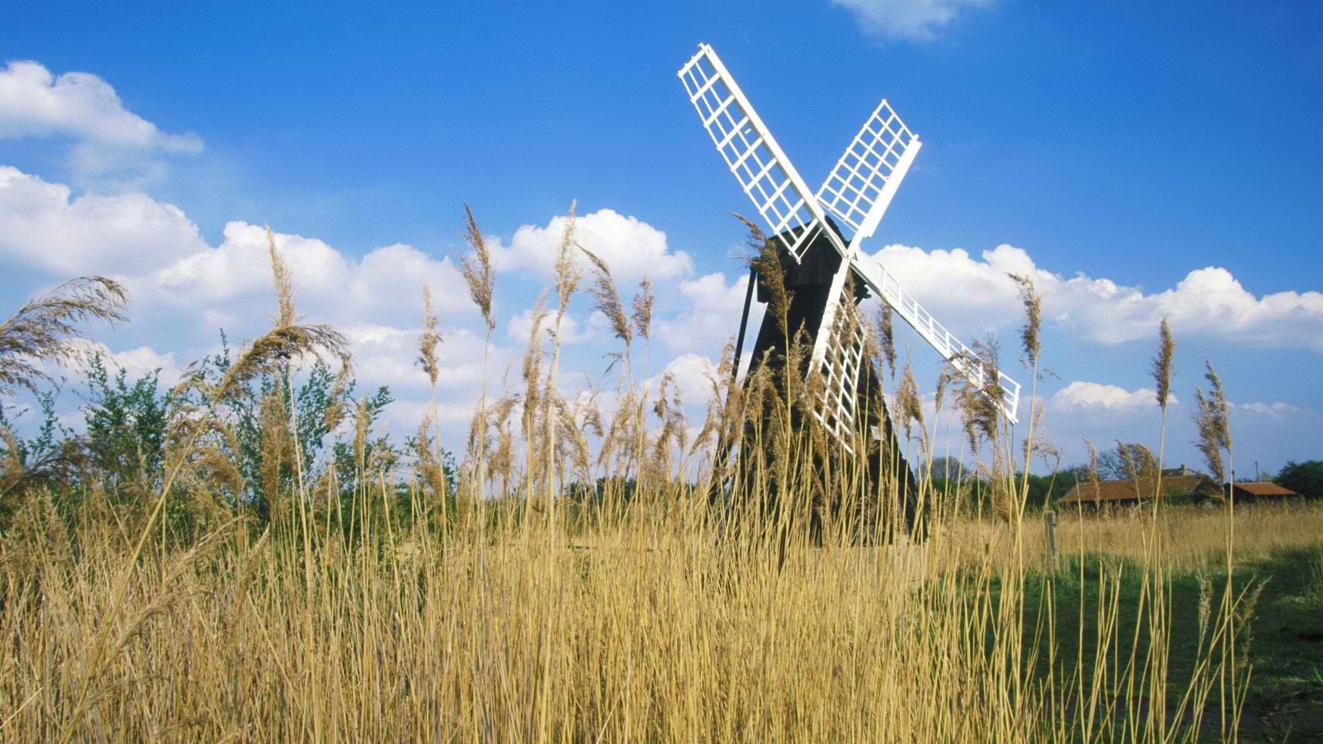 Великобритания, ветряные мельницы - обои на рабочий стол