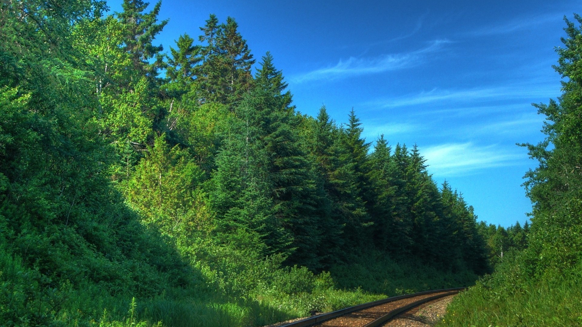 деревья, леса, железные дороги - обои на рабочий стол