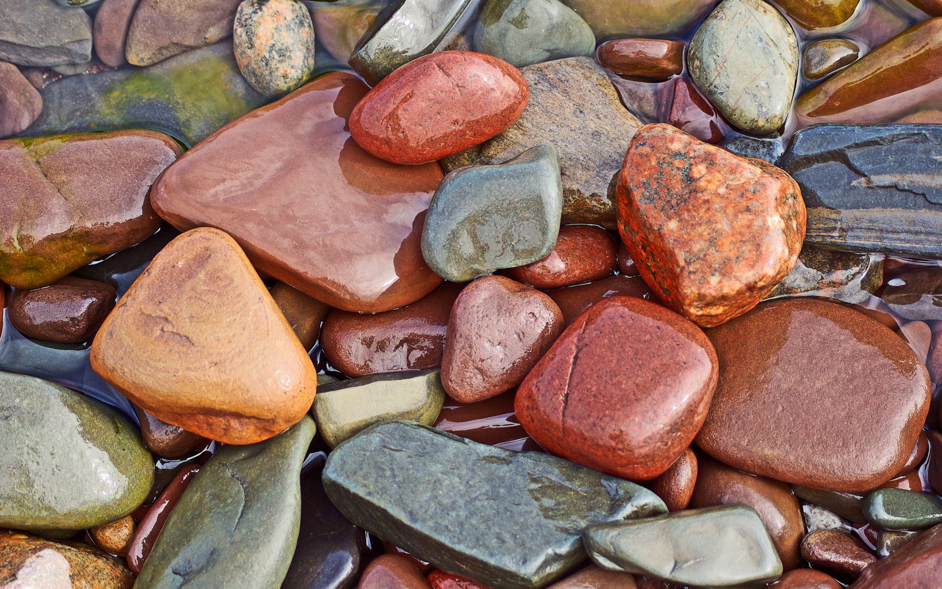 1200. Разноцветные камни. Камни разноцветные морские. Природный камень. Красивые камушки.