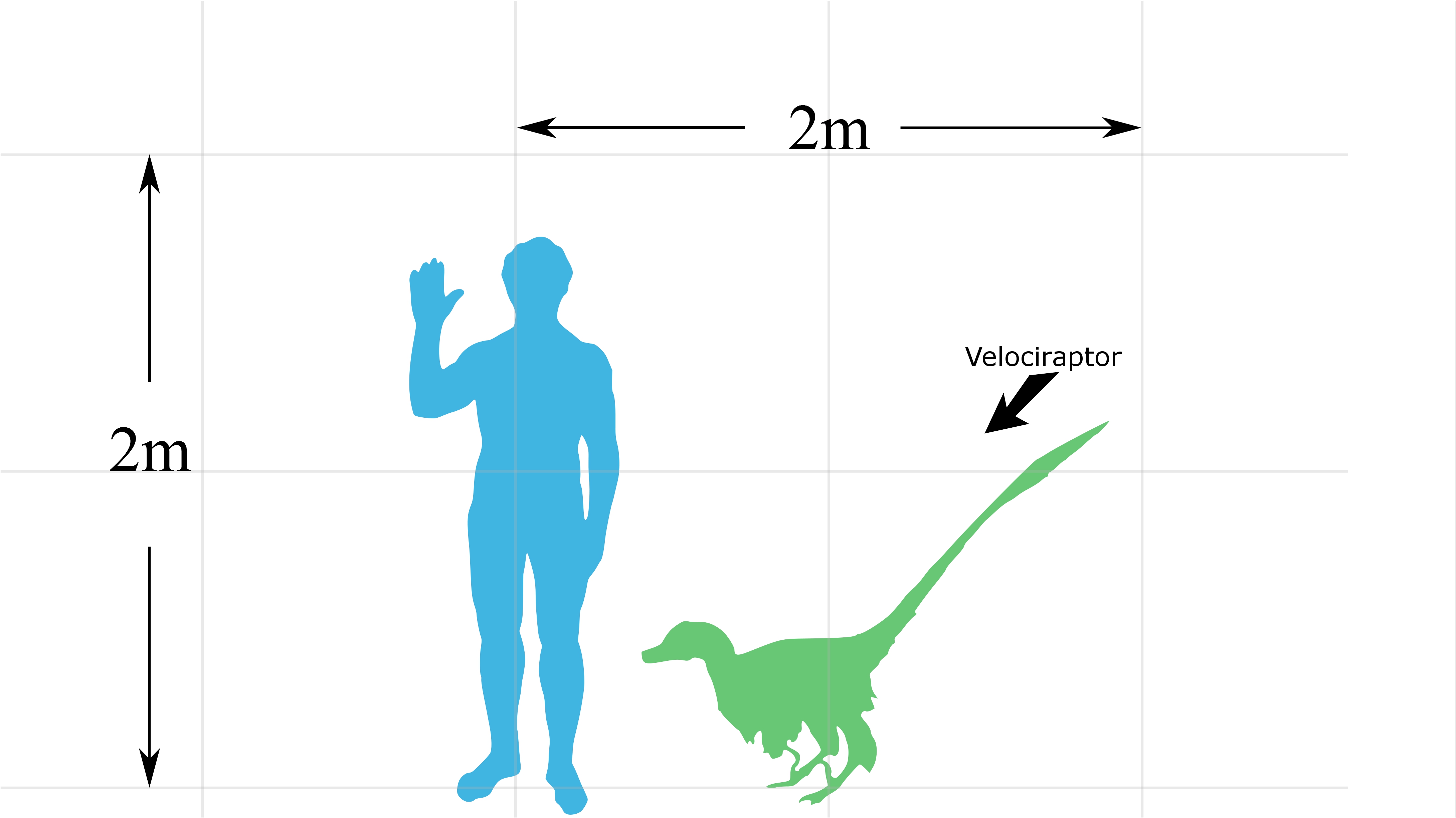 динозавры, Велоцираптор, упрощенный - обои на рабочий стол