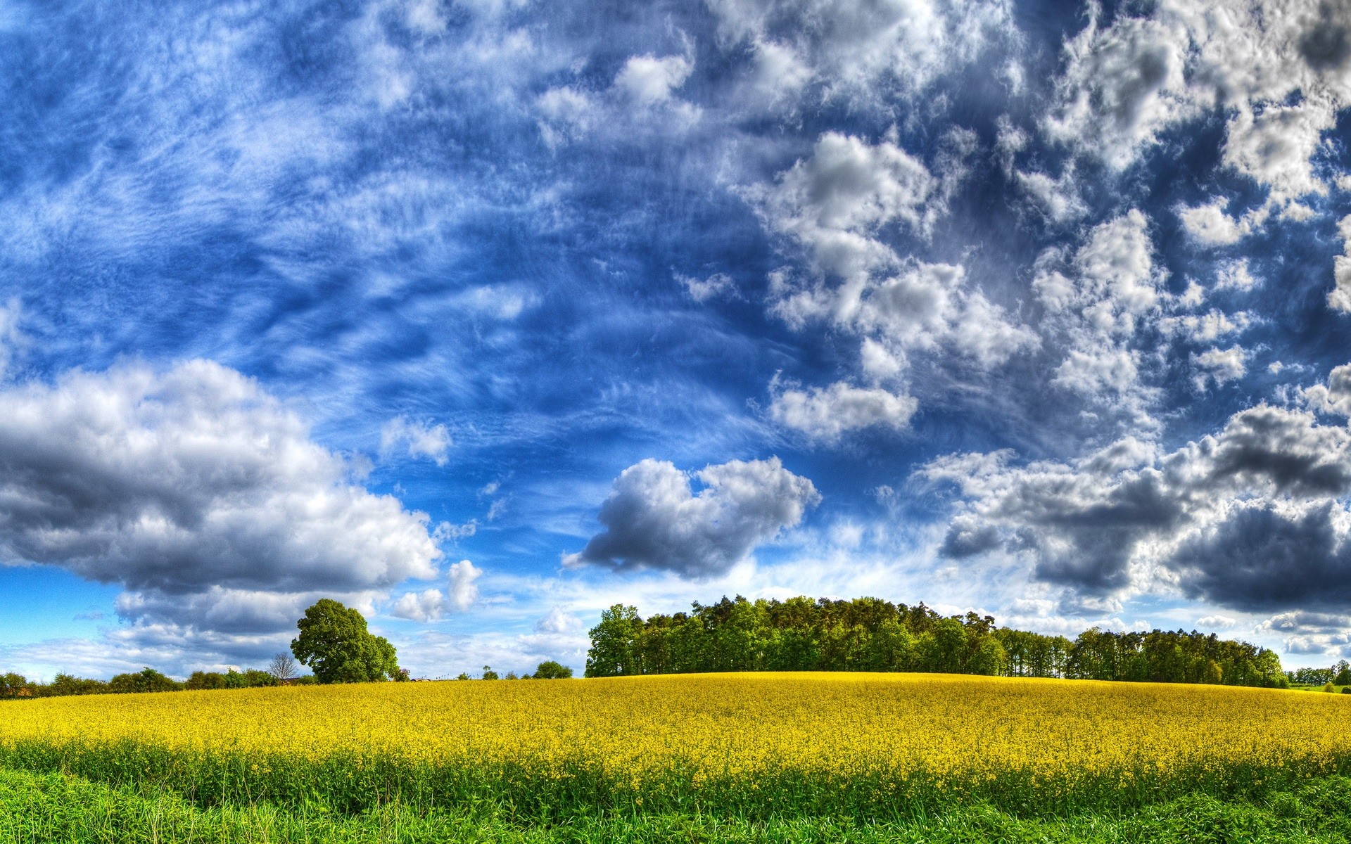 облака, пейзажи, трава, поля, HDR фотографии - обои на рабочий стол