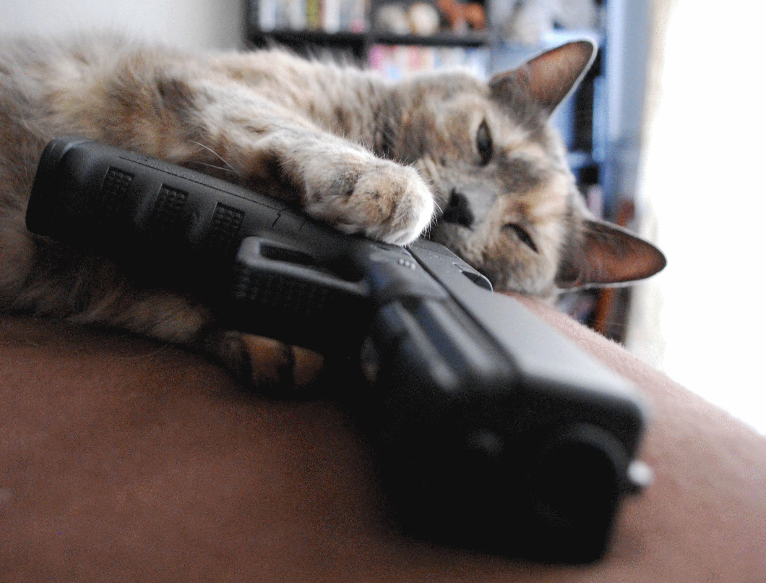 пистолеты, кошки - обои на рабочий стол
