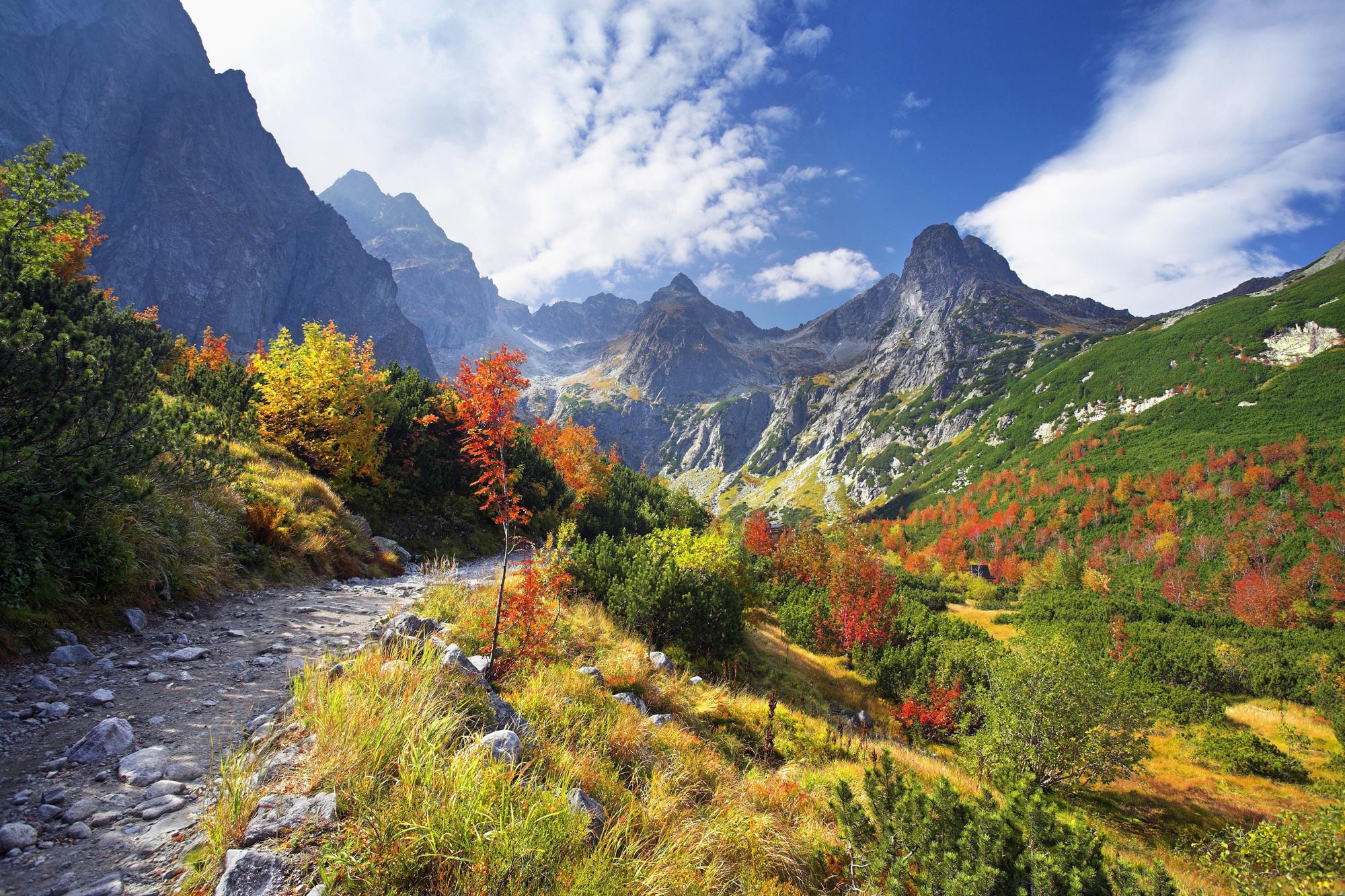 Днем, гифки с осенью в горах