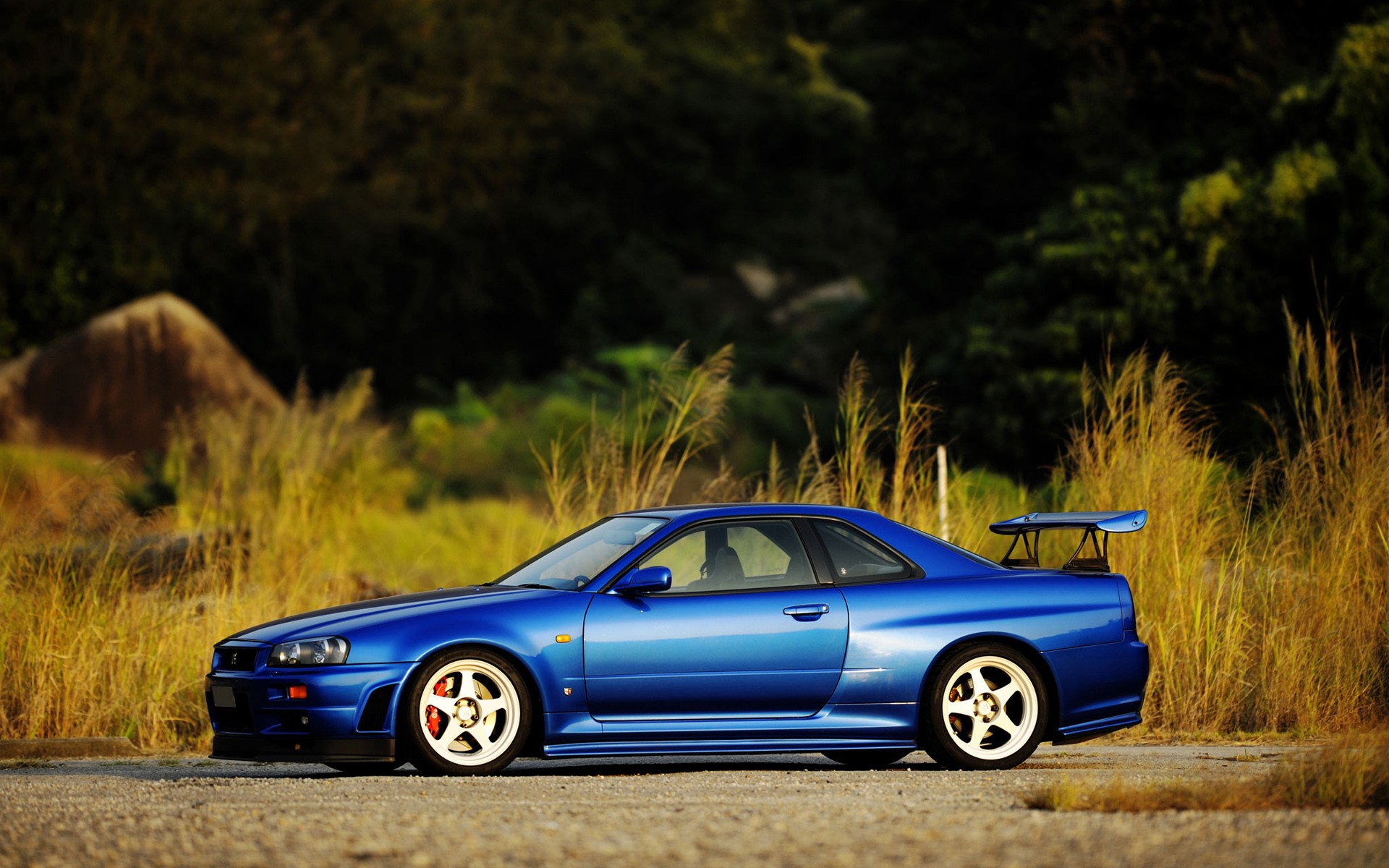 Nissan Skyline GTR r34 Blue