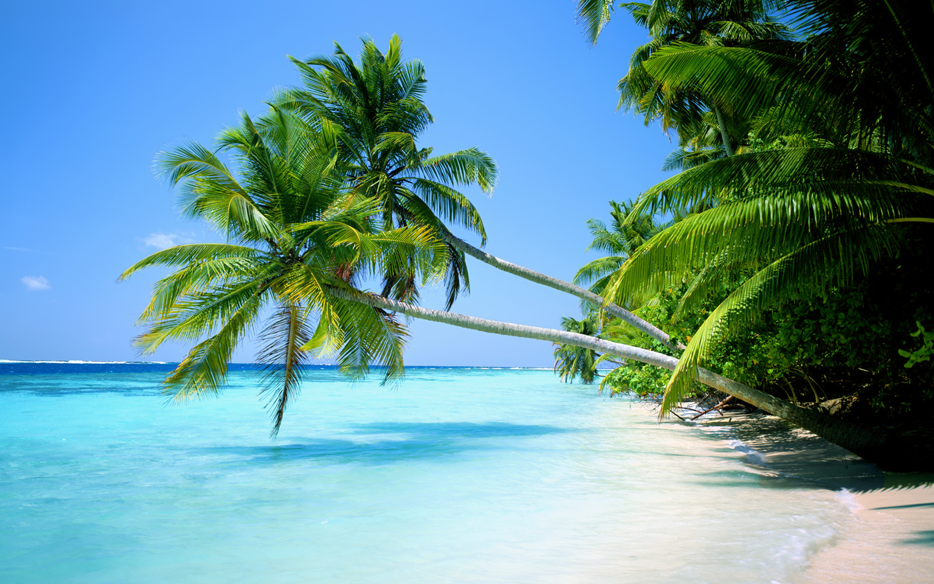 океан, пейзажи, природа, тропический, острова, пальмовые деревья, пляжи - обои на рабочий стол