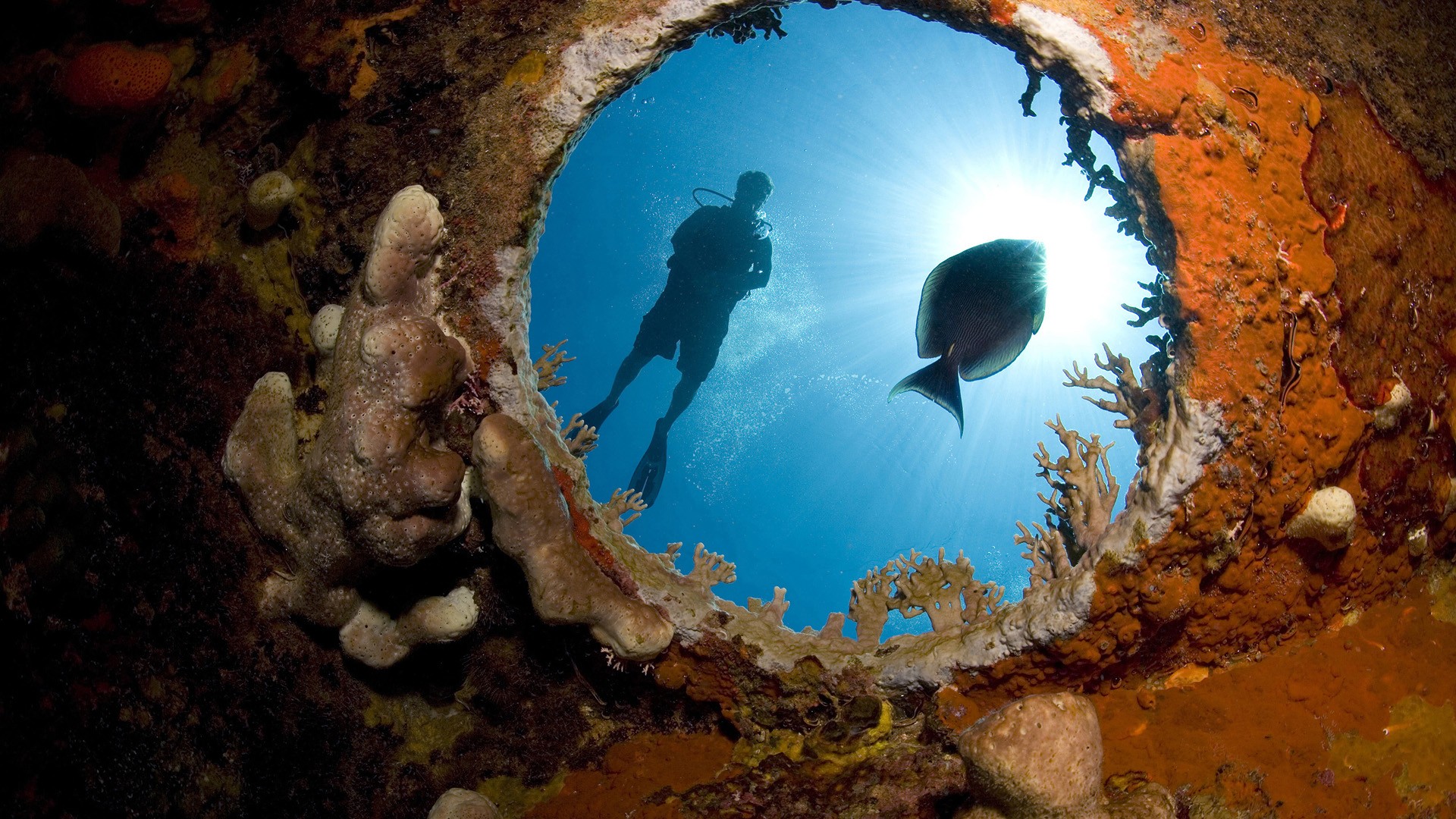 Тайны морского глаза. Море под водой. Подводные глубины. Погружение под воду. Глаза под водой.