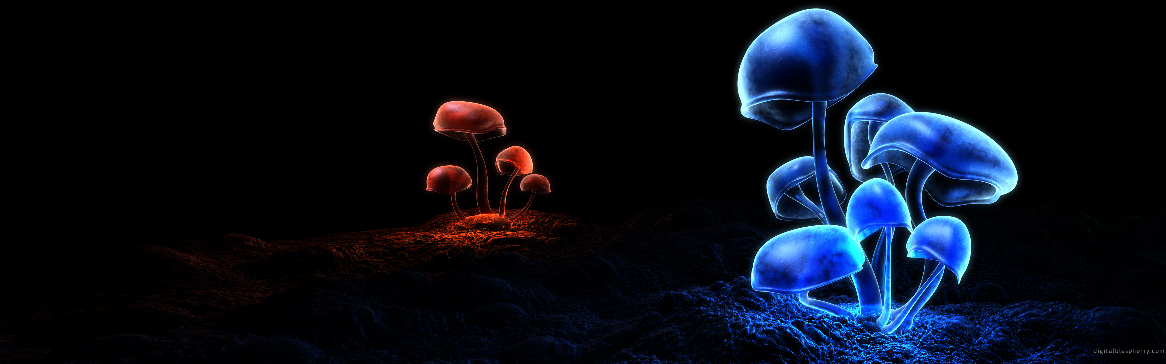 грибы, цифровое искусство - обои на рабочий стол