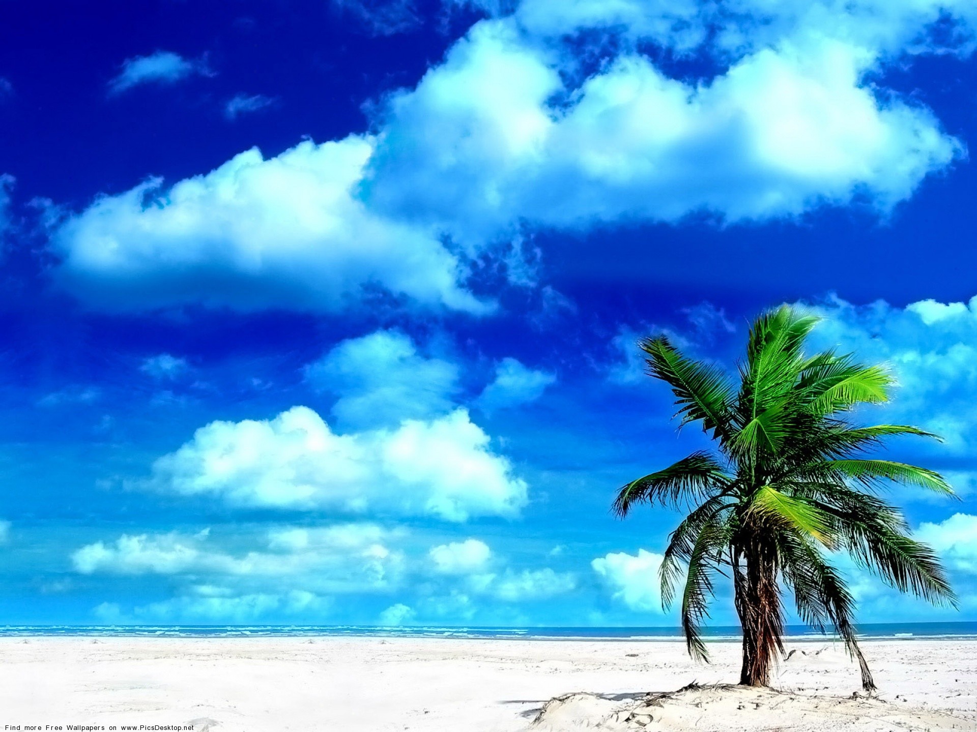 Море на з. Море пляж. Море пальмы. Море пляж пальмы. Фон пальмы.