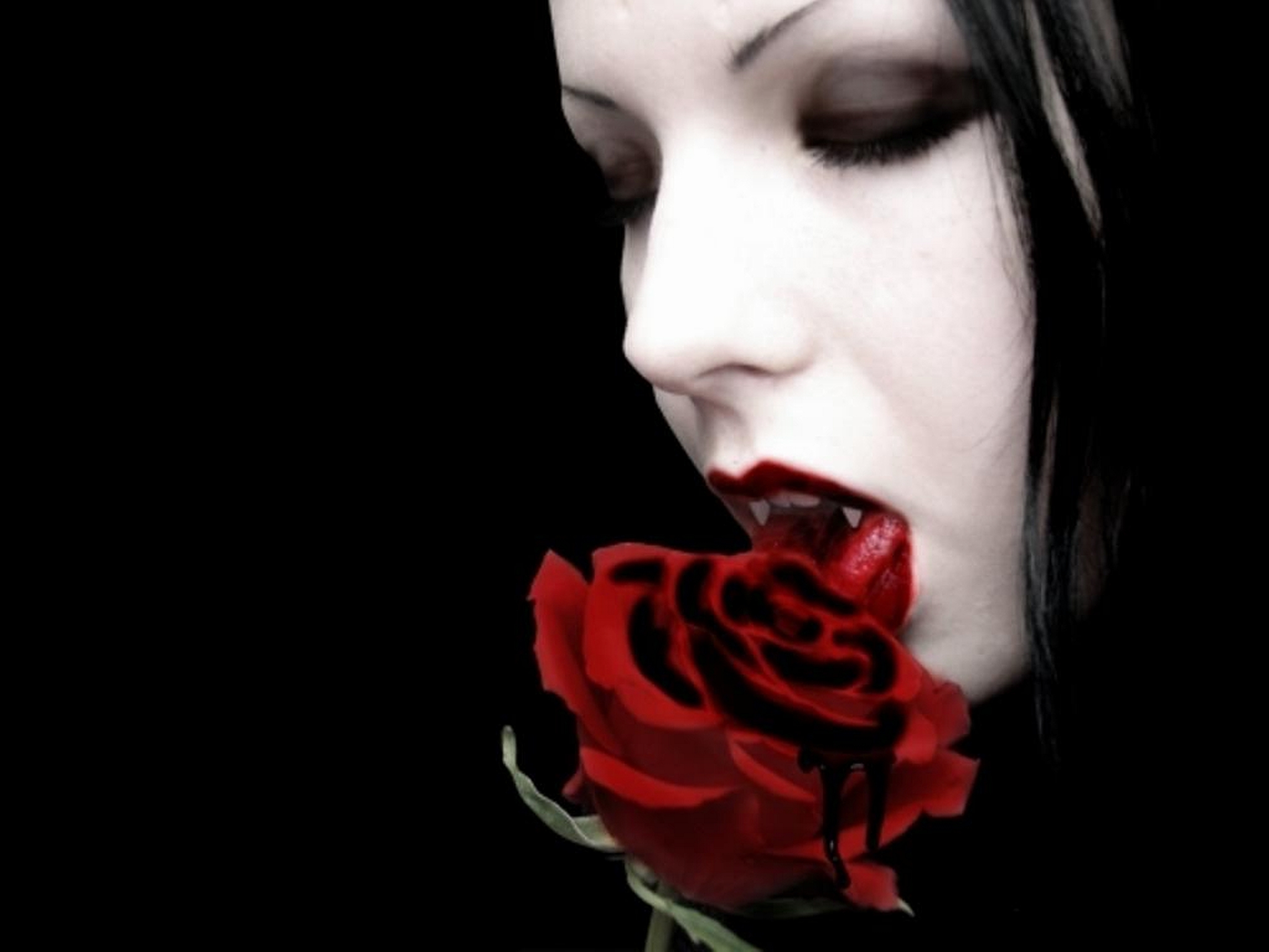 Цветок вампира роза