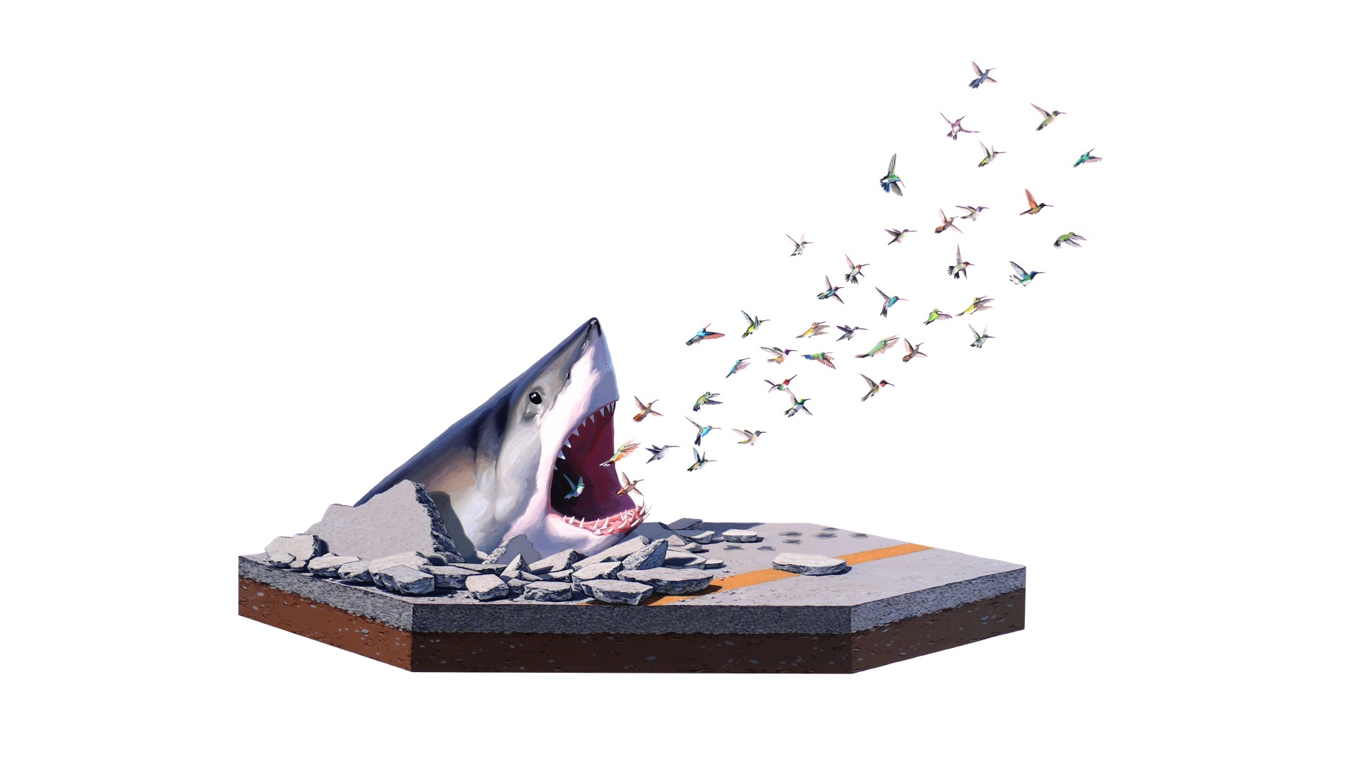 минималистичный, птицы, акулы, произведение искусства, большая белая акула - обои на рабочий стол