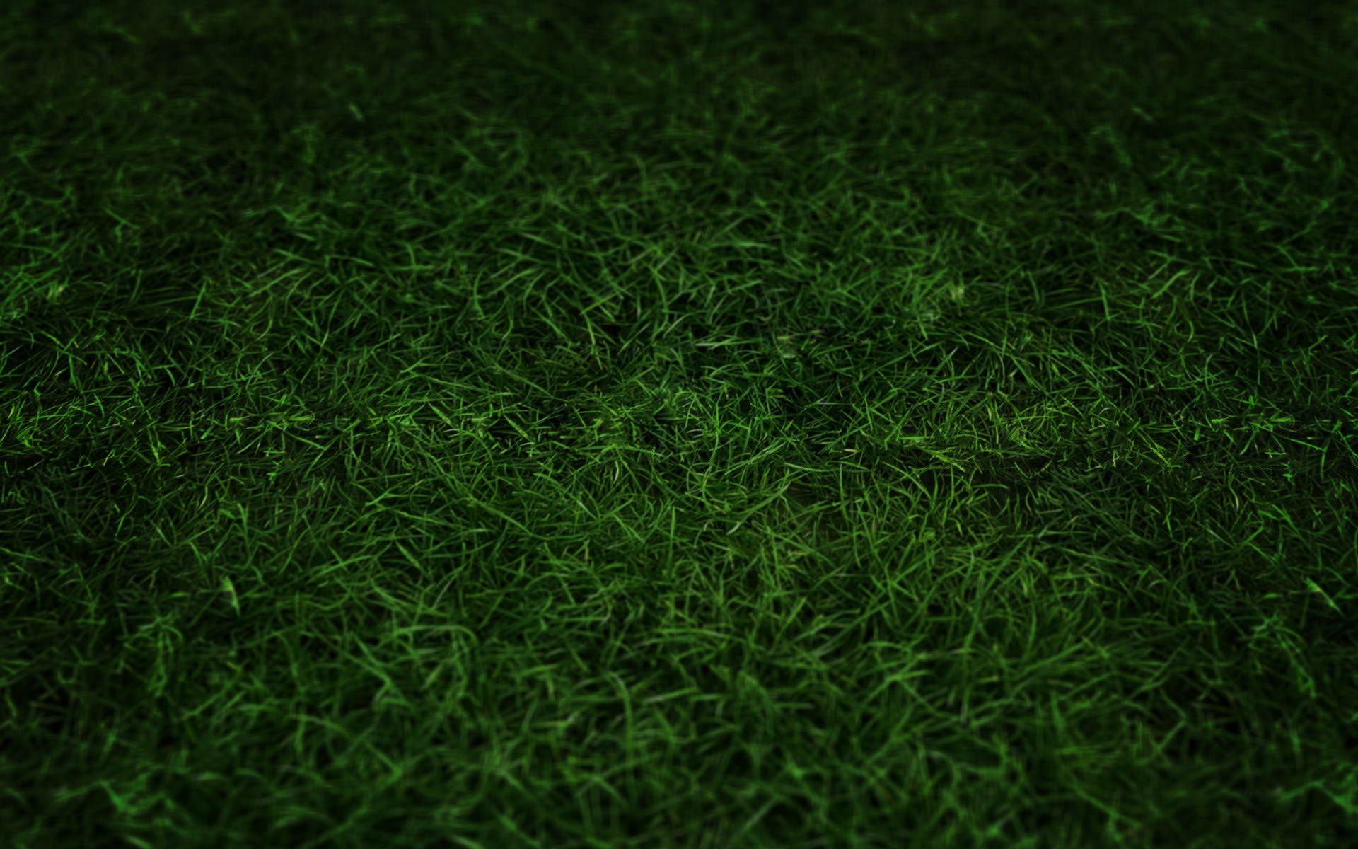 зеленый, трава - обои на рабочий стол