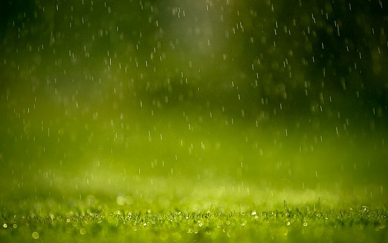 дождь, трава - обои на рабочий стол