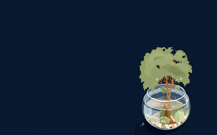 вода, деревья, бонсай, синий фон, аквариумы - обои на рабочий стол