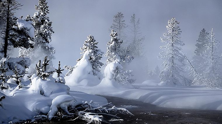 пейзажи, зима, снег, снежные деревья - обои на рабочий стол