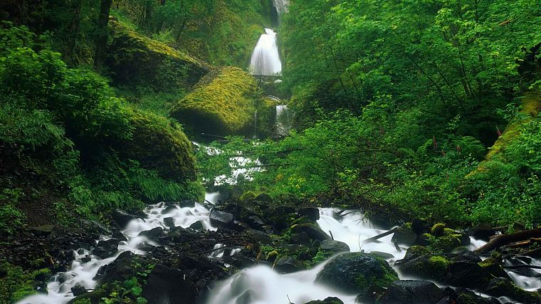 природа, водопад, Орегон, водопады, реки - обои на рабочий стол