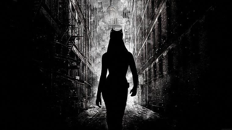 Энн Хэтэуэй, Бэтмен, силуэты, Женщина-кошка, Gotham City, Бэтмен Темный рыцарь: Возрождение легенды - обои на рабочий стол