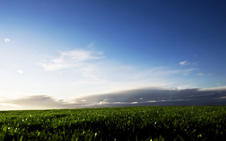 трава, поля, небо - обои на рабочий стол
