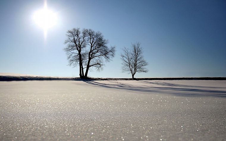 пейзажи, зима, снег, Солнце, деревья, солнечный свет, голубое небо - обои на рабочий стол