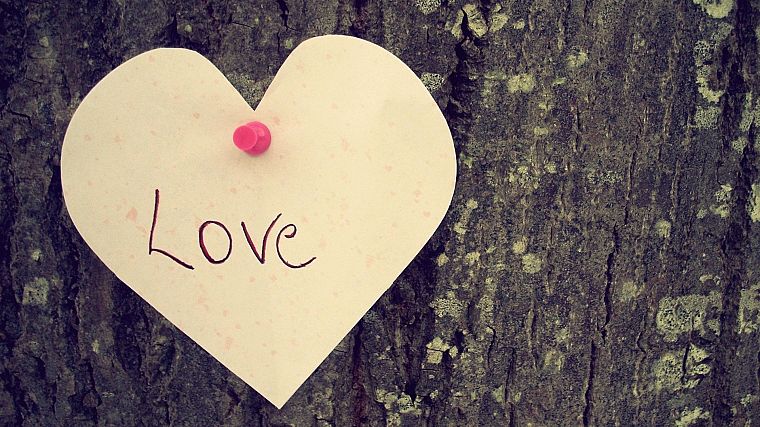 любовь, деревья, сердца - обои на рабочий стол
