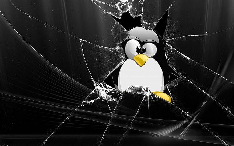 стекло, Linux, смокинг, пингвины - обои на рабочий стол