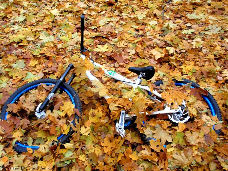 велосипед, осень, листья, Украина, цикл, опавшие листья - обои на рабочий стол