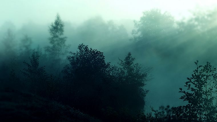 природа, леса, туман - обои на рабочий стол