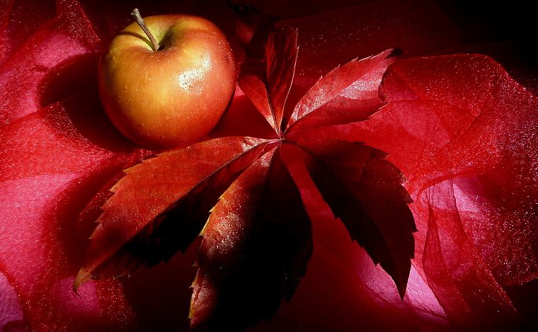 листья, украшение, яблоки, украшения - обои на рабочий стол
