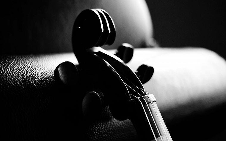 музыка, скрипок, монохромный - обои на рабочий стол