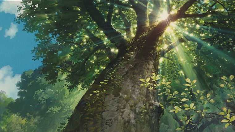 деревья, солнечный свет, Не Karigurashi не Arrietty, Тайный мир Arrietty - обои на рабочий стол