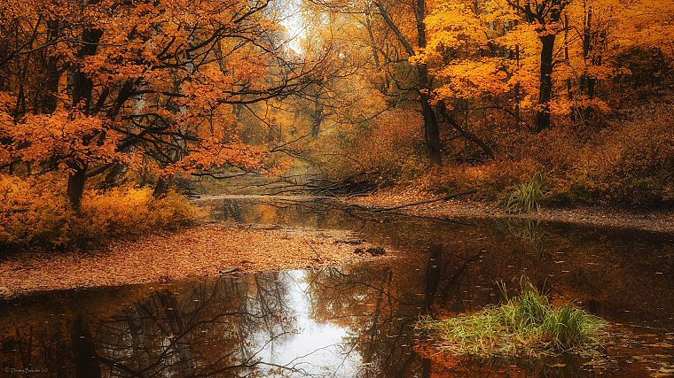 вода, пейзажи, природа, деревья, осень, леса, реки - обои на рабочий стол