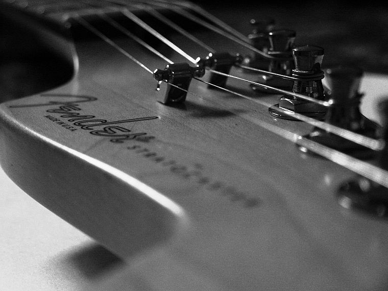 Fender, оттенки серого, гитары, монохромный, макро, Fender Stratocaster - обои на рабочий стол
