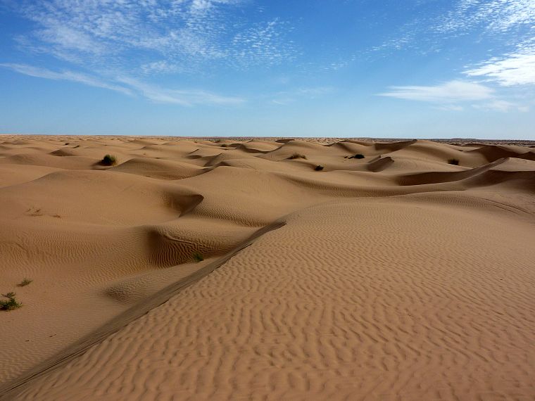 пейзажи, песок, пустыня - обои на рабочий стол