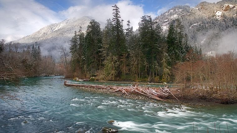 деревья, туман, реки, Национальный парк, Вашингтон - обои на рабочий стол