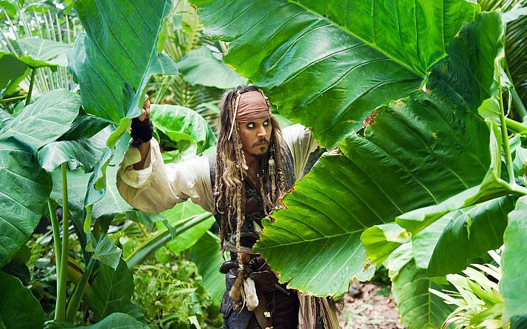 люди, растения, Пираты Карибского моря, Джонни Депп - обои на рабочий стол