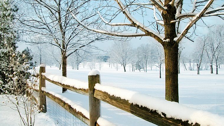 зима, снег, деревья, заборы - обои на рабочий стол
