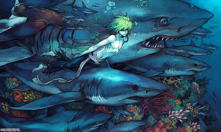 акулы, зеленые волосы, произведение искусства, мальчики, под водой - обои на рабочий стол