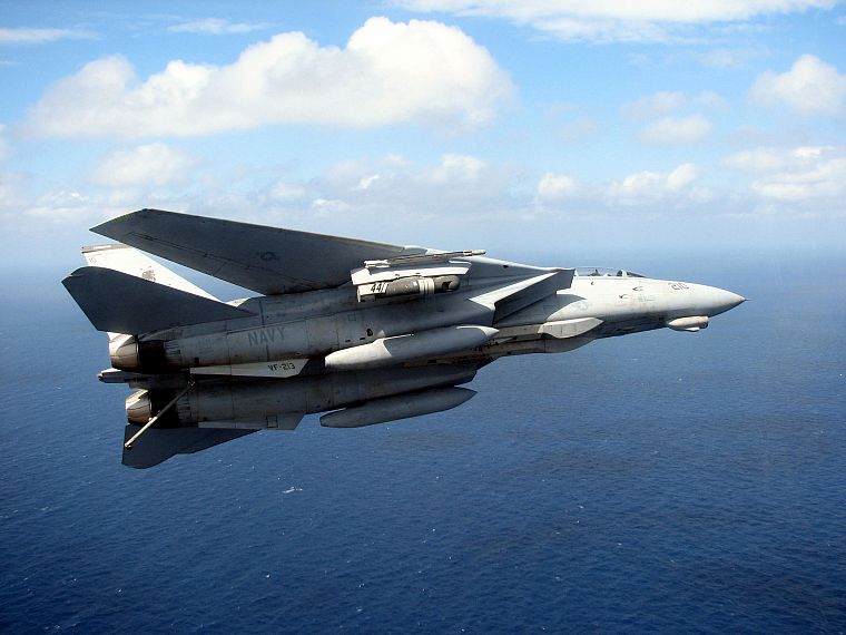 самолет, военный, военно-морской флот, самолеты, F-14 Tomcat - обои на рабочий стол