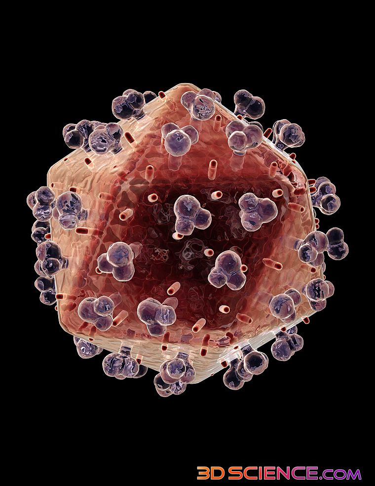 Вирус спида фото под микроскопом как выглядит