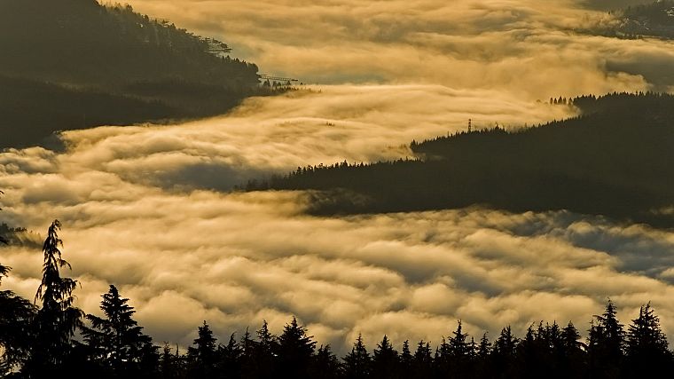 туман, Британская Колумбия - обои на рабочий стол