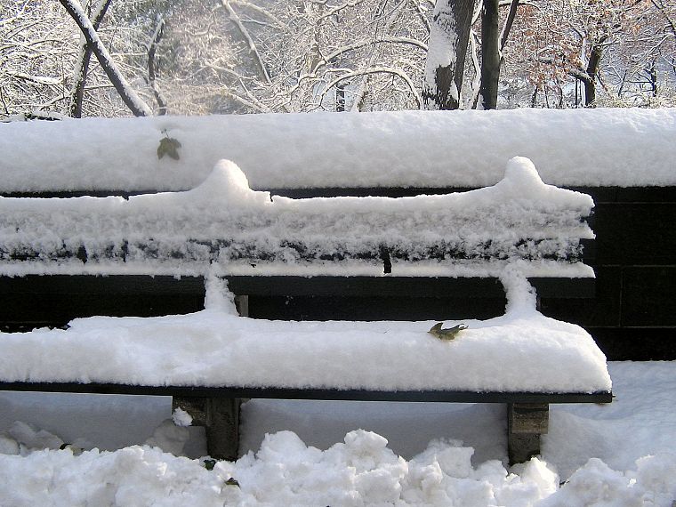 зима, снег, скамейки - обои на рабочий стол