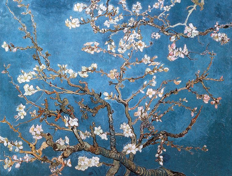 цветы, Винсент Ван Гог, произведение искусства, миндаль - обои на рабочий стол